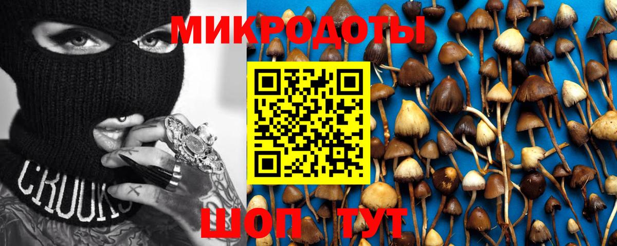 Псилоцибиновые грибы GOLDEN TEACHER  Вход с VPN  Амурск 